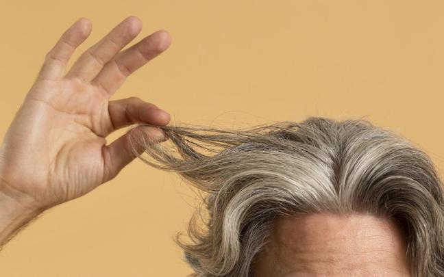 ¿Arrancar las canas hace que salgan más? / Freepik ¿Arrancar las canas hace que salgan más?