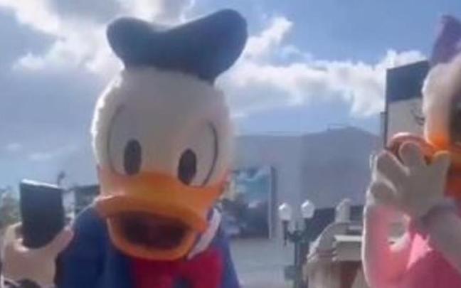 La reacción del Pato Donald y Daisy a la broma. La reacción del Pato Donald y Daisy a la broma.