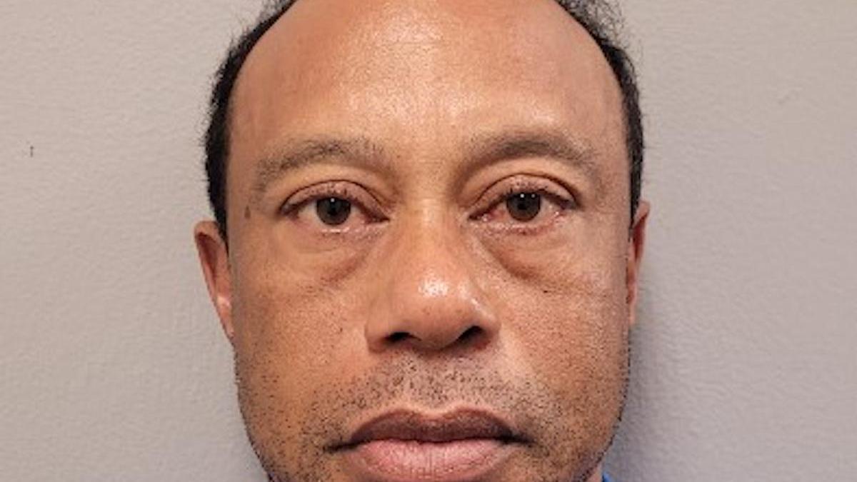 Tiger Woods, tras su detención.