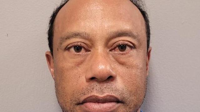 Tiger Woods, tras su detención.
