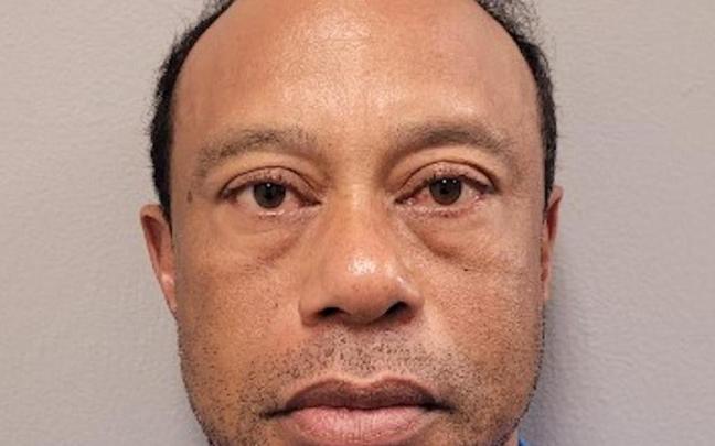 Tiger Woods, tras su detención.