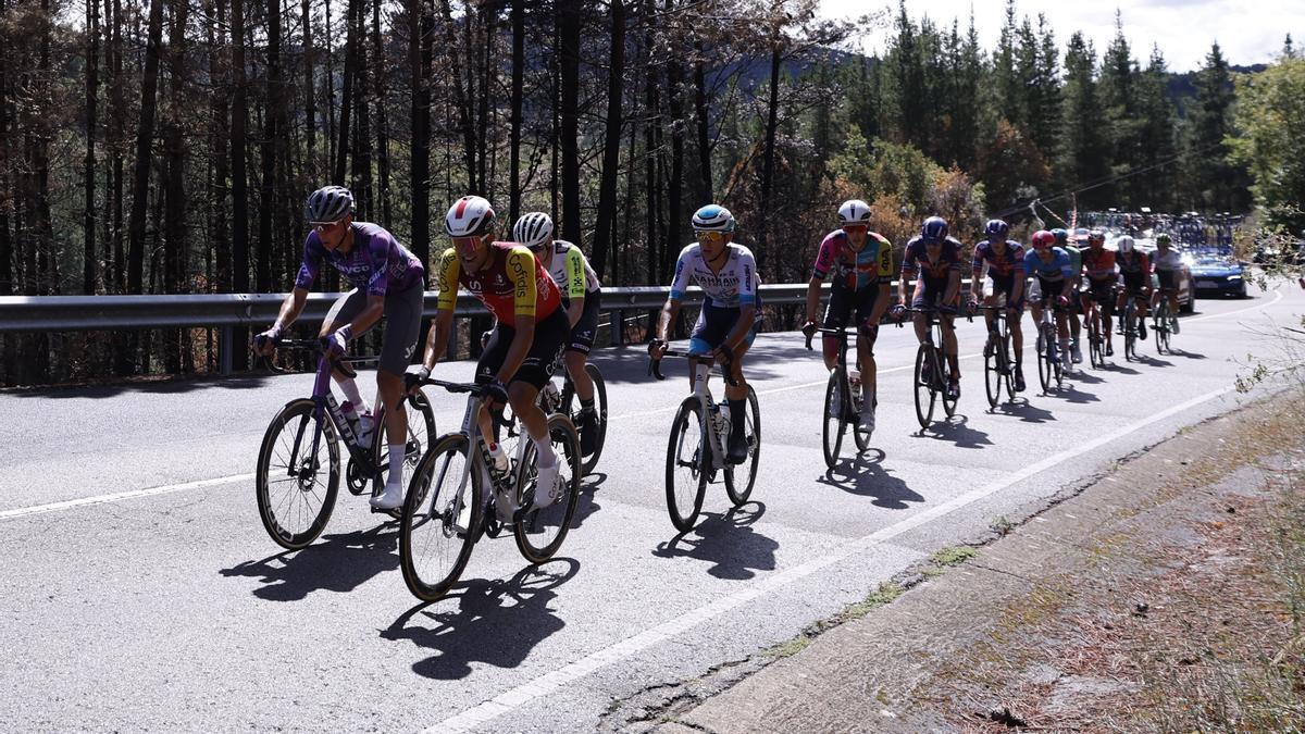 El pelotón durante la etapa 17 de la Vuelta disputada este miércoles entre O Barco de Valdeorras