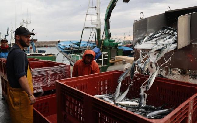 Presentación en Hondarribia de la temporada del verdel