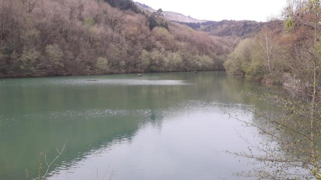 Presa del parque de Mendikosolo, en Arrigorriaga