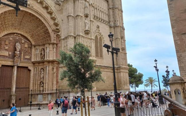 Una pareja de Vitoria ha presenciado por casualidad un hecho que ha tenido lugar por primera vez en la historia de Mallorca