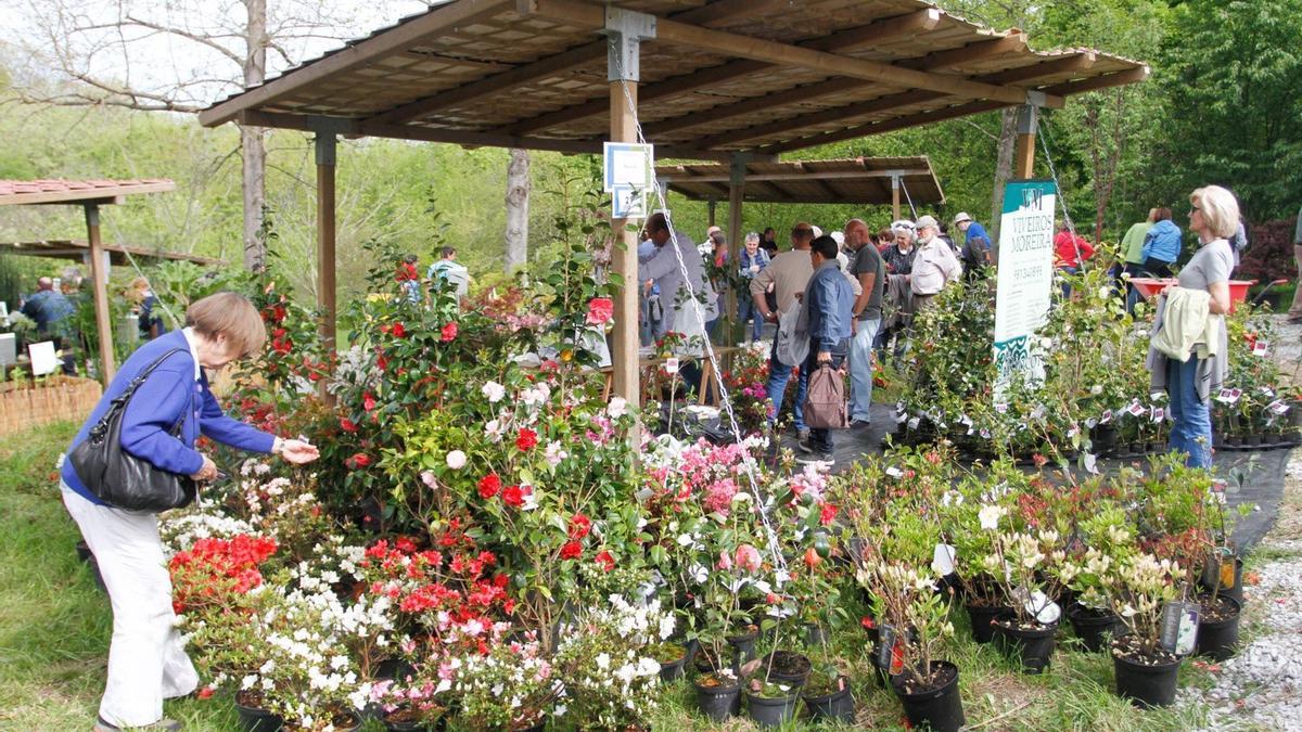 Feria de flores y plantas.