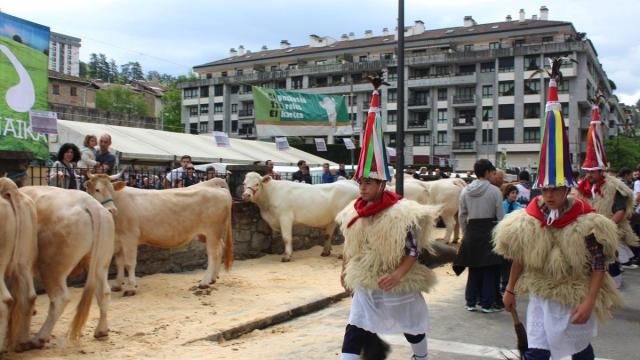 Las cabezas de vacuno, un clásico en Ibargarai, serán este año una ausencia destacable en la feria.