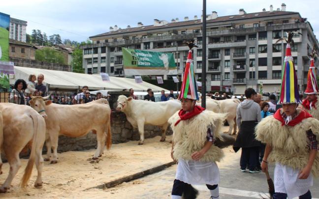 Las cabezas de vacuno, un clásico en Ibargarai, serán este año una ausencia destacable en la feria.