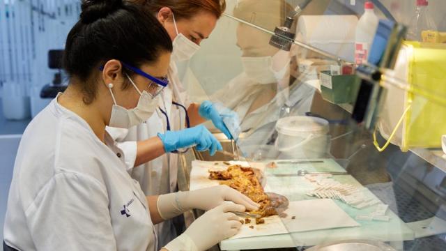 En estos momentos, la investigación pone el foco en la caracterización de estas enfermedades.