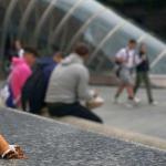 El 21,49% de la población fuma en Bilbao: un 25,6% de los hombres y el 17,2% de las mujeres.