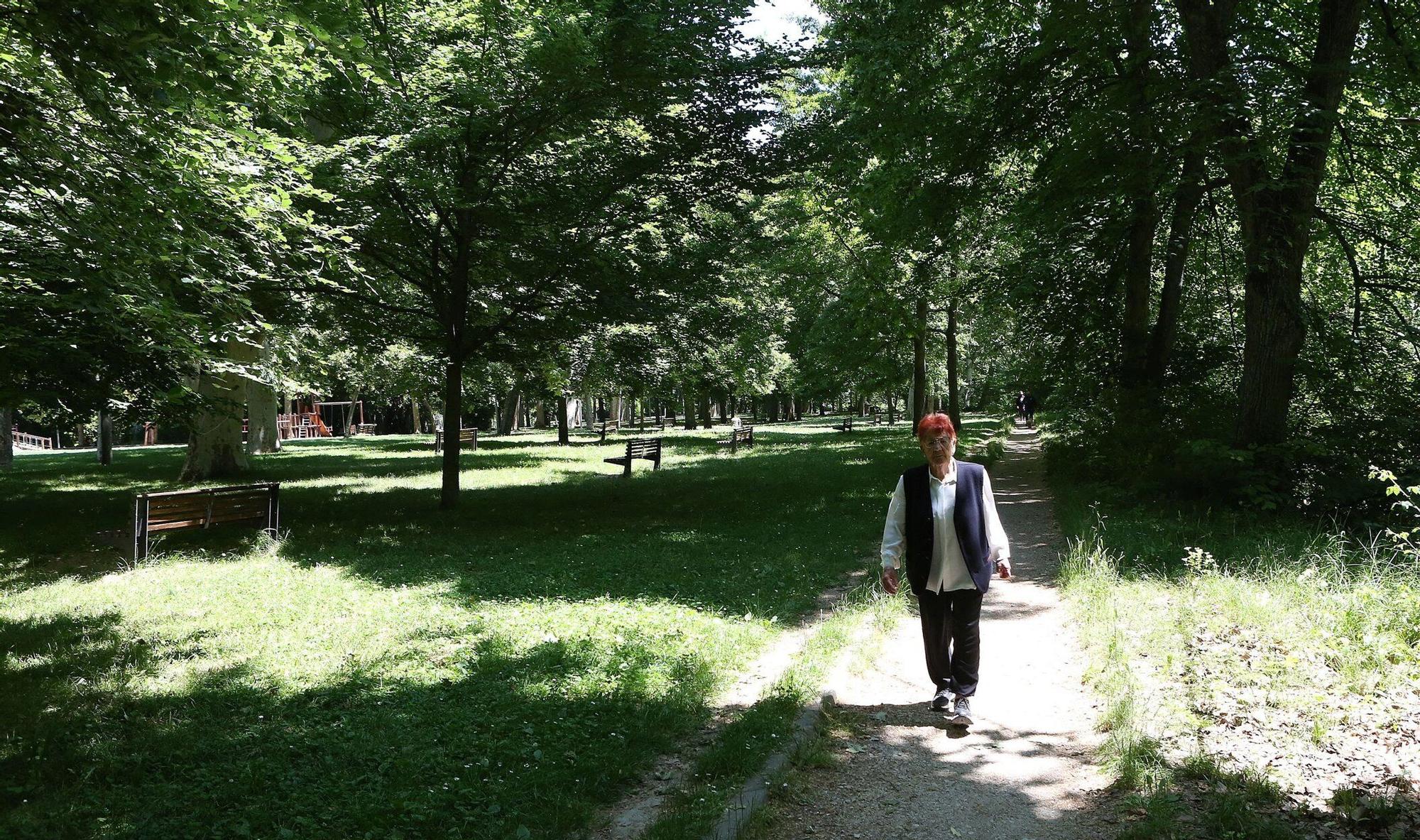 Una persona paseando por el Parque de los Llanos.