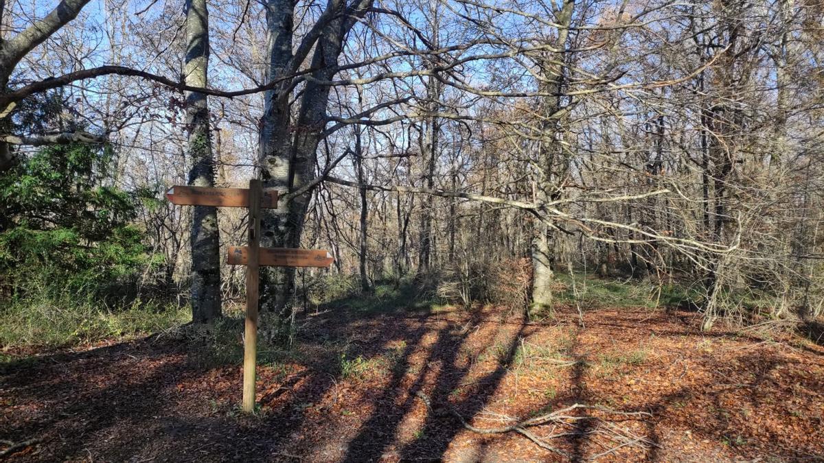 Señales indicativas en la ruta