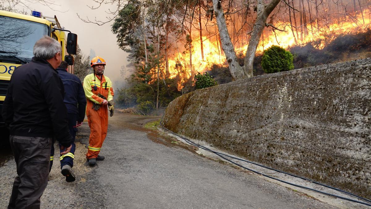 Labores de extinción en uno de los incendios desatados en Asturias en las últimas semanas.