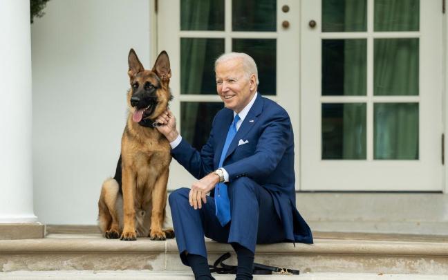 Commander llegó a la Casa Blanca en diciembre de 2021 como regalo después de que muriera el perro de los Biden.