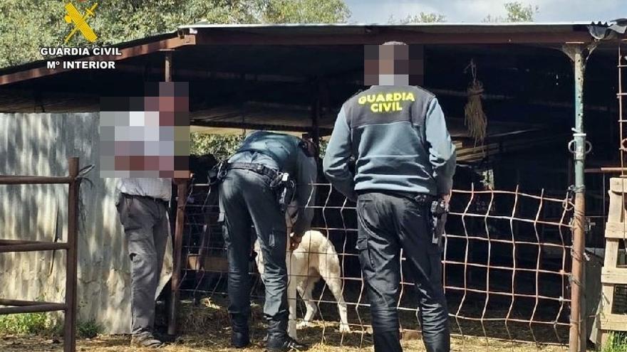 Operación de la Guardia Civil en una finca.