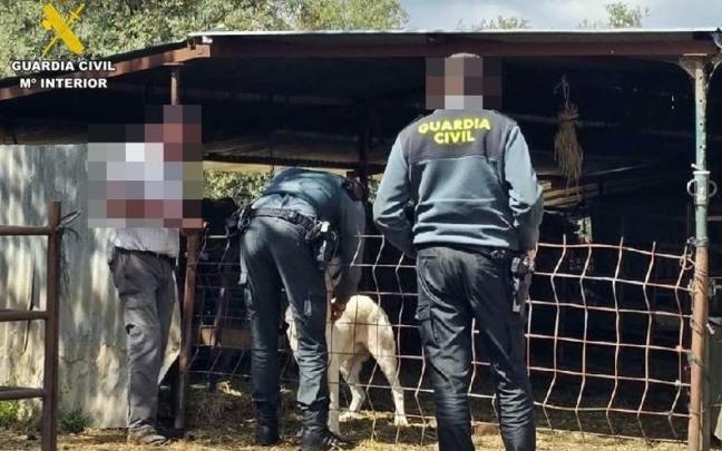 Operación de la Guardia Civil en una finca.