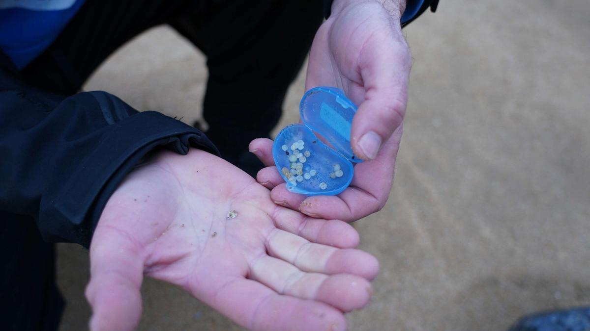 Personal del operativo de vigilancia y limpieza de la Diputación Foral de Bizkaia buscan pellets en la playa de La Arena, en Muskiz. Foto: E.P.