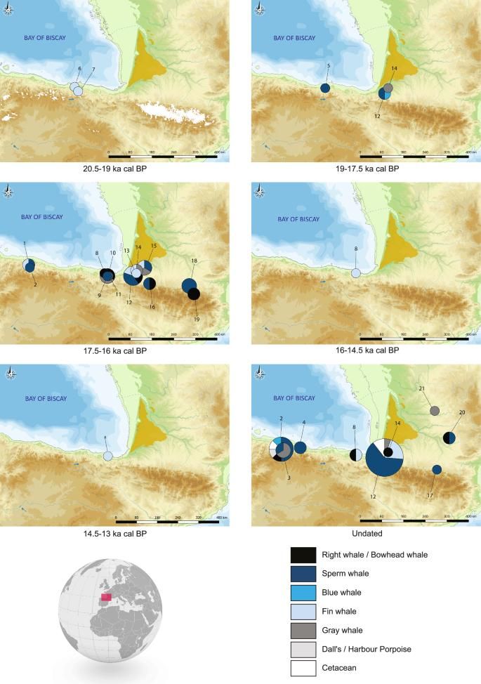 Distribuciones cronológicas y geográficas de todos los restos óseos de cetáceos identificados taxonómicamente en los yacimientos del Magdaleniense Atlántico (excepto el yacimiento de Andernach, Renania).
