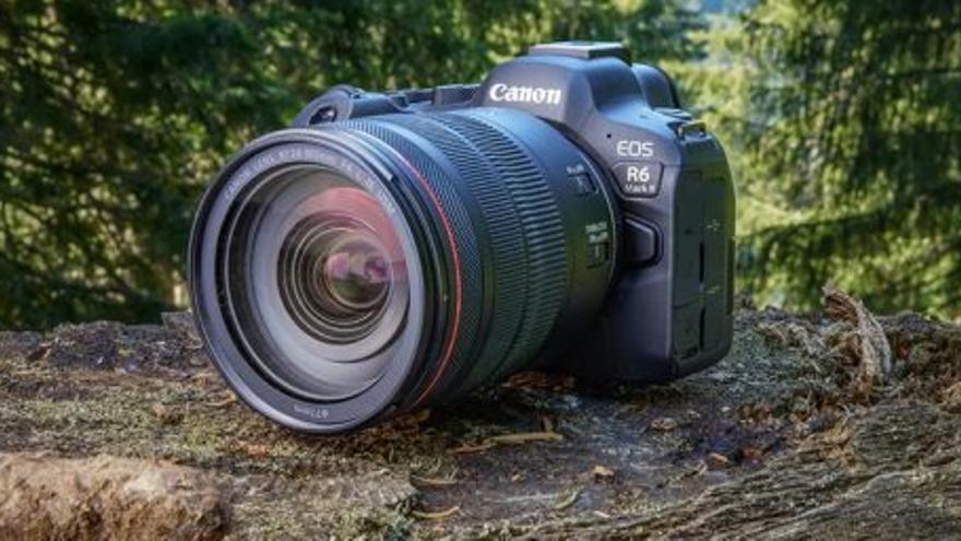 Las y los participantes podrán participar en una sesión práctica.