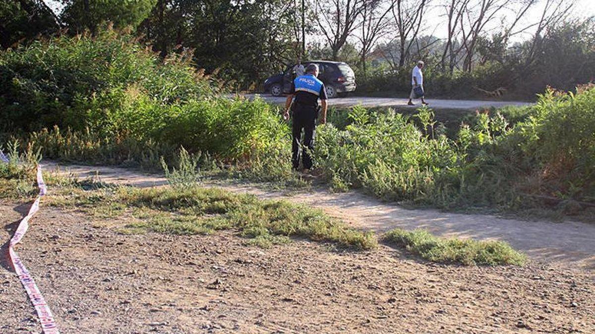 Lugar por el que el vehículo se precipitó a la acequia en Tudela en 2012. Archivo