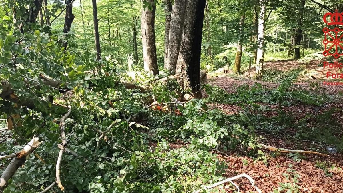 Lugar donde se ha producido el accidente. REDACCIÓN DDN