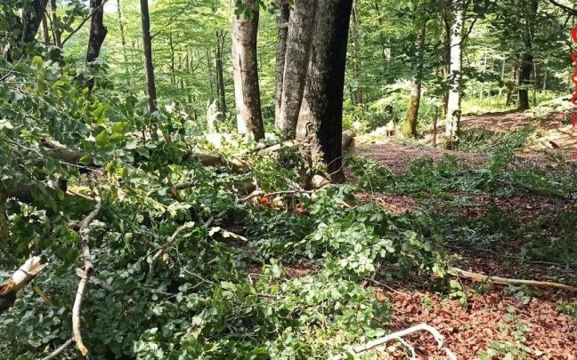 Lugar donde se ha producido el accidente. REDACCIÓN DDN