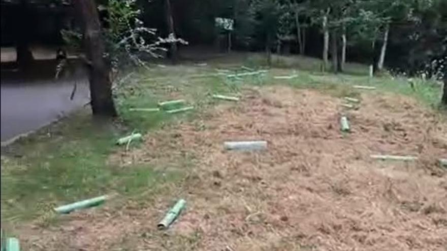 Estado en el que ha quedado la zona tras el acto vandálico