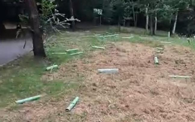 Estado en el que ha quedado la zona tras el acto vandálico