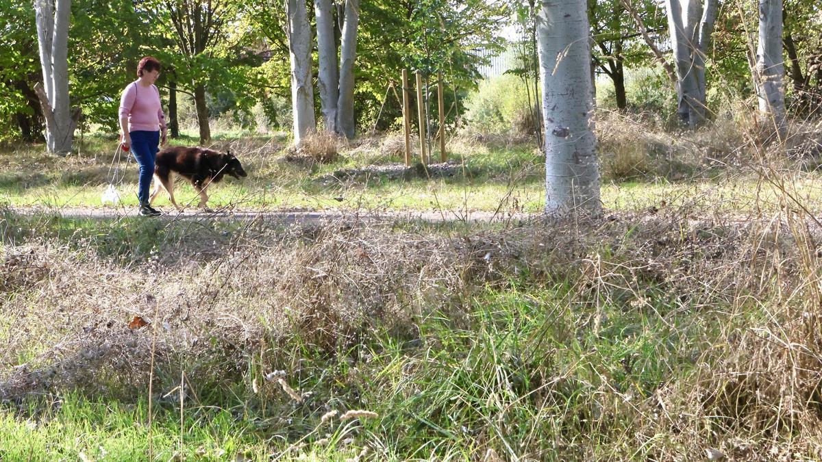 Informazio horretatik kanpoko irudia.