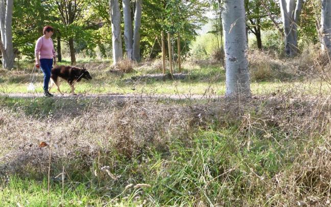 Informazio horretatik kanpoko irudia.