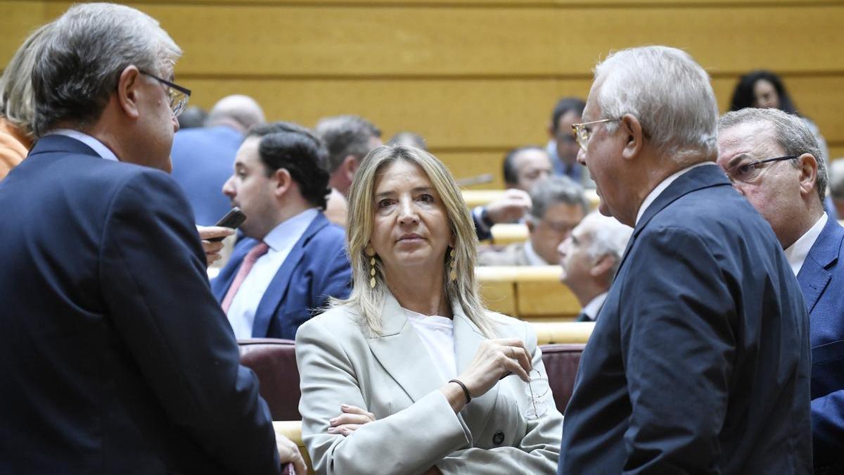 La senadora del PP, Alicia García.