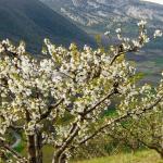 En imágenes: Estos son los planes imprescindibles para darle la bienvenida a la primavera en Euskal Herria / Redacción DNN / Iñaki Porto / Unai Beroiz / EFE / Josu Chavarri Erralde / Oskar Montero / Jorge Muñoz / Ondikol / M. Izaguirre / Rubén Usúa / Iker Azurmendi / Ainara García / Amalur En imágenes: Estos son los planes imprescindibles para darle la bienvenida a la primavera en Euskal Herria