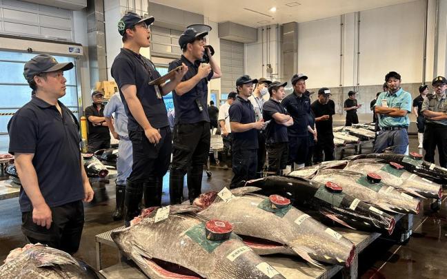 Subasta de atún en el mercado de Sapporo.