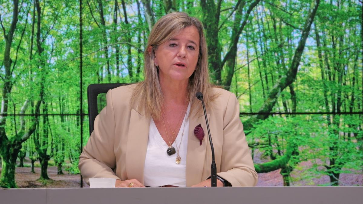 teresa Laespada, Diputada de Igualdad