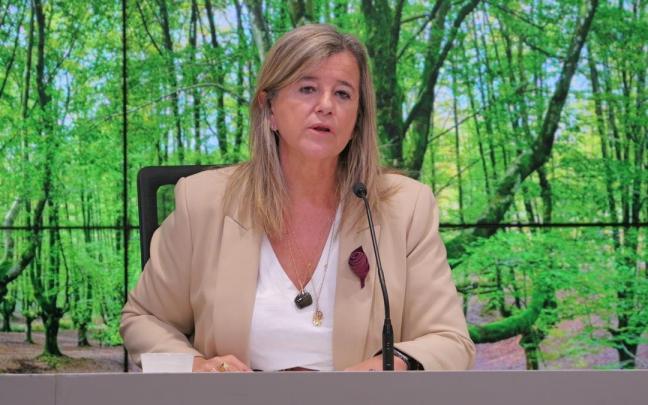 teresa Laespada, Diputada de Igualdad