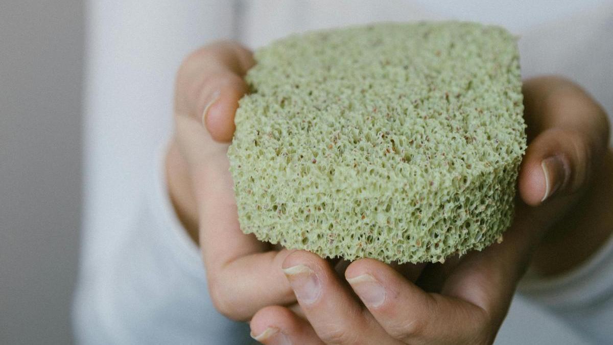 Esponja