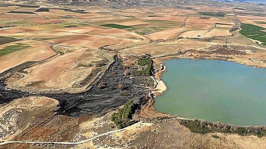 El fuego afectó a los carrizales situados en el desagüe, así como al tamarizal y chopos dispersos.