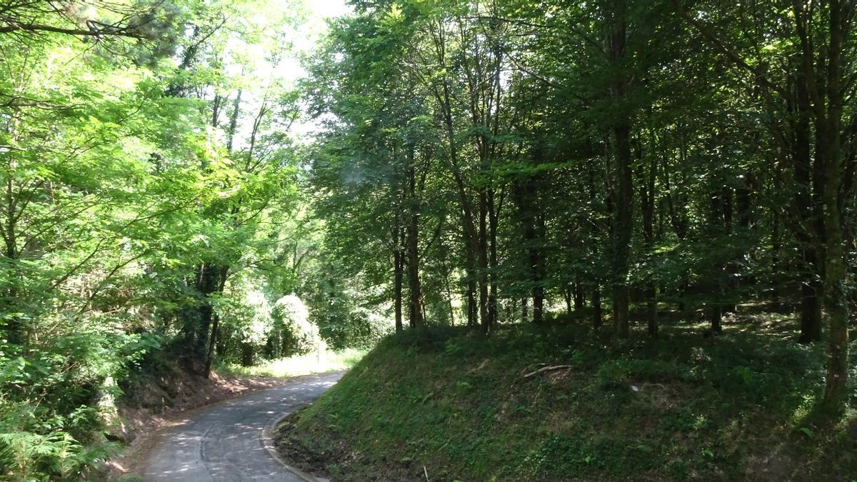 Por la carretera del Parque Natural Gorbeia, camino de Pagomakurre y el merendero de Upo.