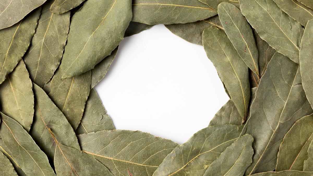 Hojas de laurel.