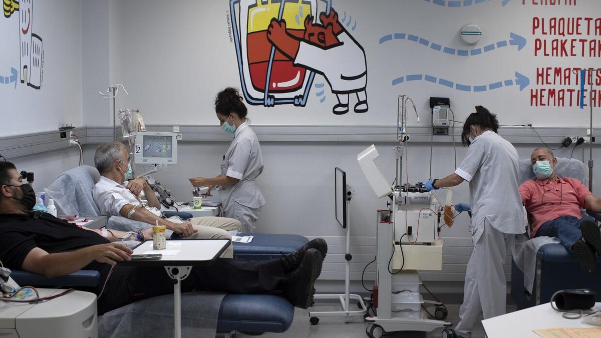 Varios donantes se sacan sangre por aféresis en el Banco de Sangre y Tejidos de Navarra. Foto: Unai Beroiz