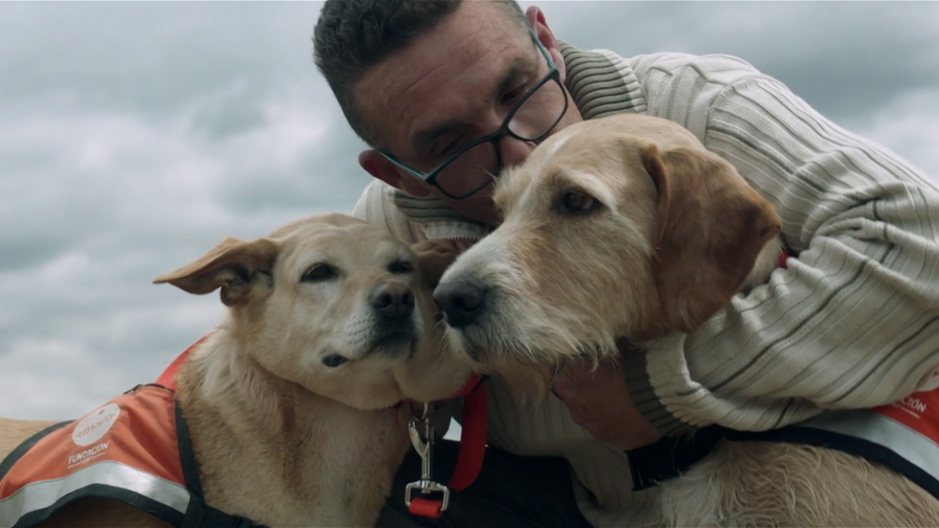 perros terapia entrevista