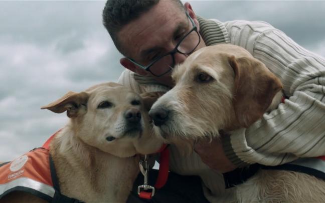 perros terapia entrevista