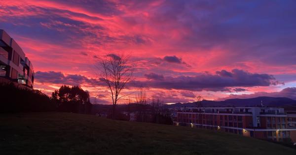 Amanecer del 8 de enero en Leioa