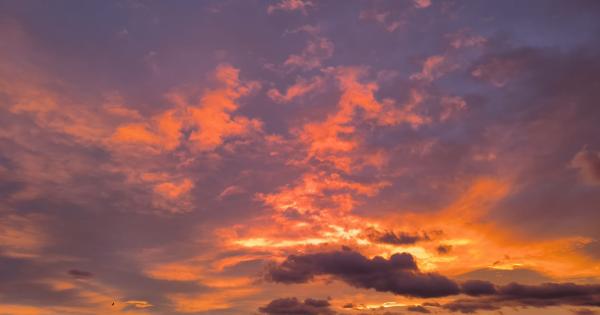 Amanecer del 8 de enero en Trapagaran