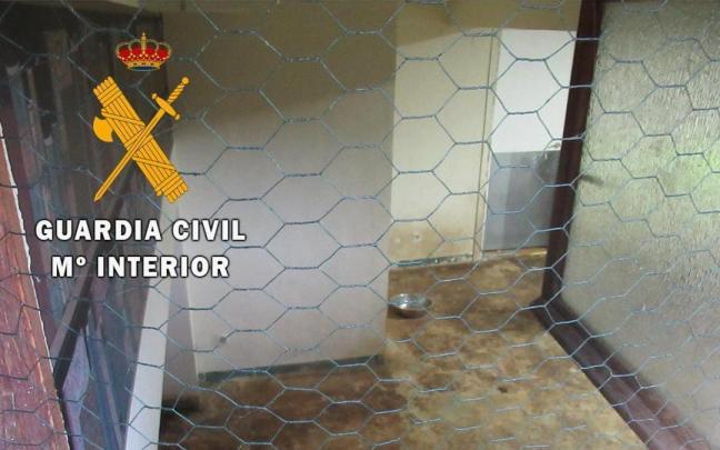 Vista de una de las estancias para animales en el albergue clausurado. Cedida