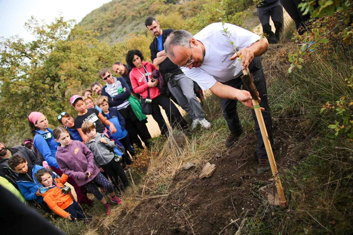 Cartel de la campaña Apadrina un Árbol de Baserria Km 0