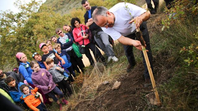 Cartel de la campaña Apadrina un Árbol de Baserria Km 0