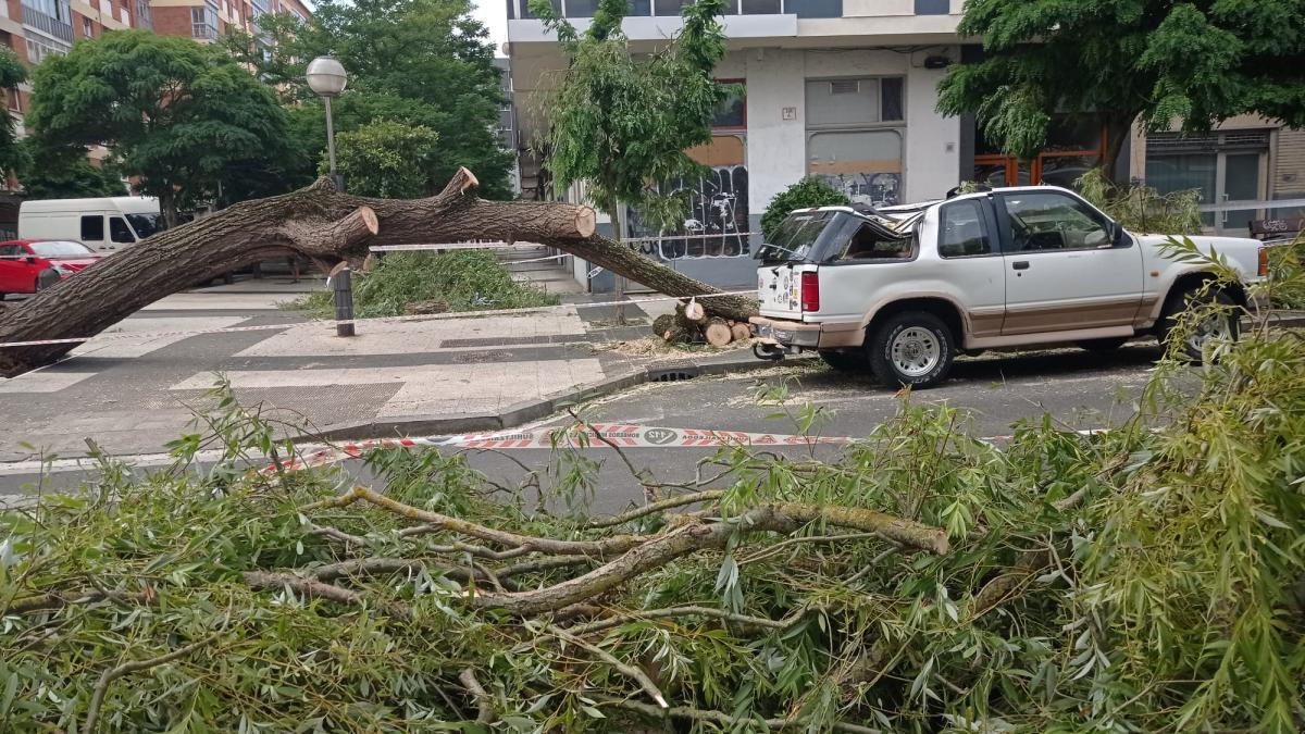 La caída de Árbol ha ocasionado daños importantes en el vehículo. OV