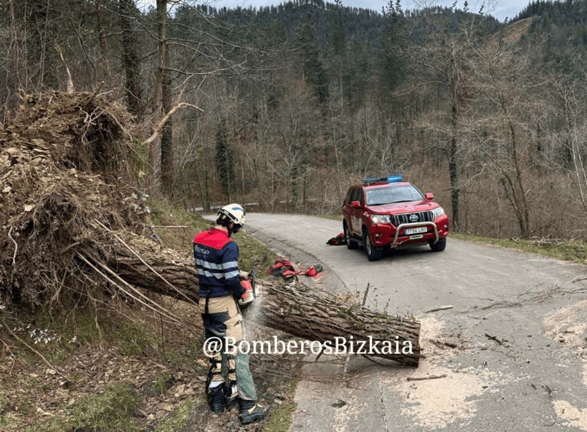 Árbol caído en el Corredor del Cadagua. BOMBEROS DE BIZKAIA