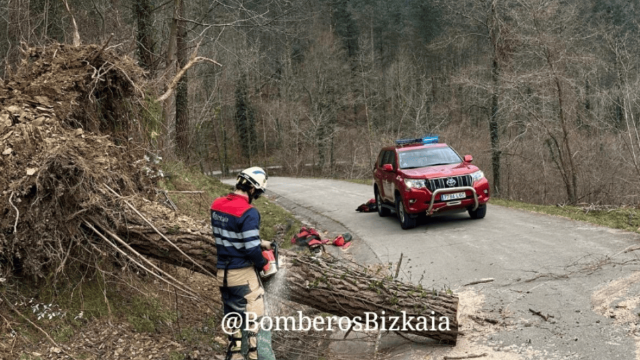 Árbol caído en el Corredor del Cadagua. BOMBEROS DE BIZKAIA